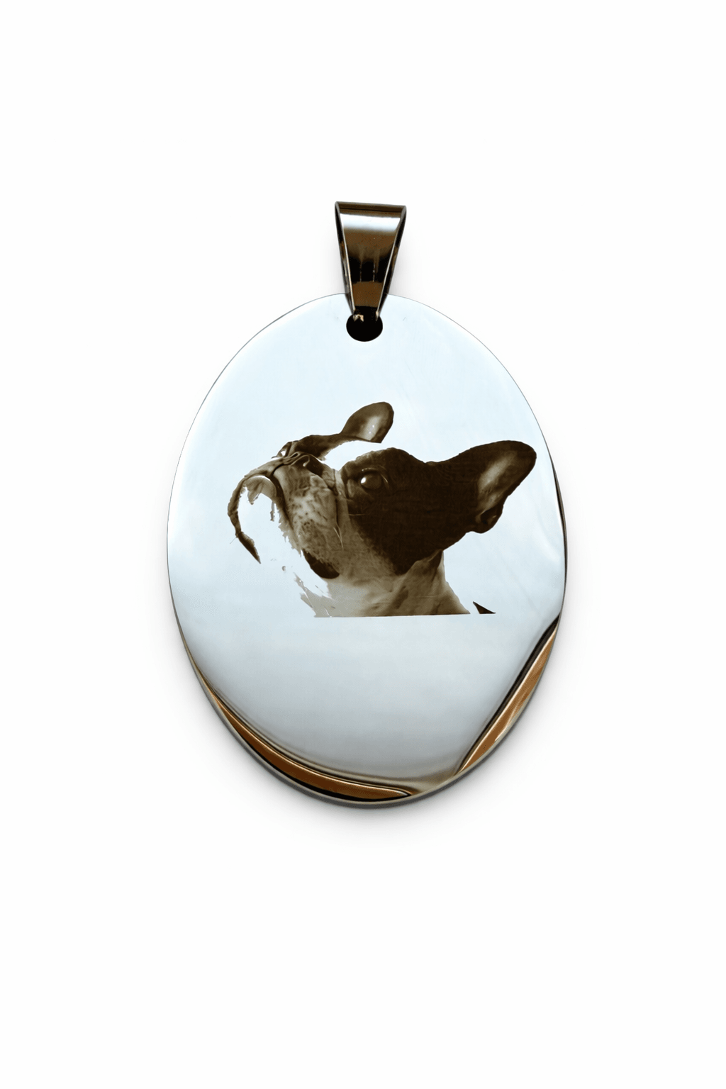 Hundeanhänger Edelstahl Vorderseite