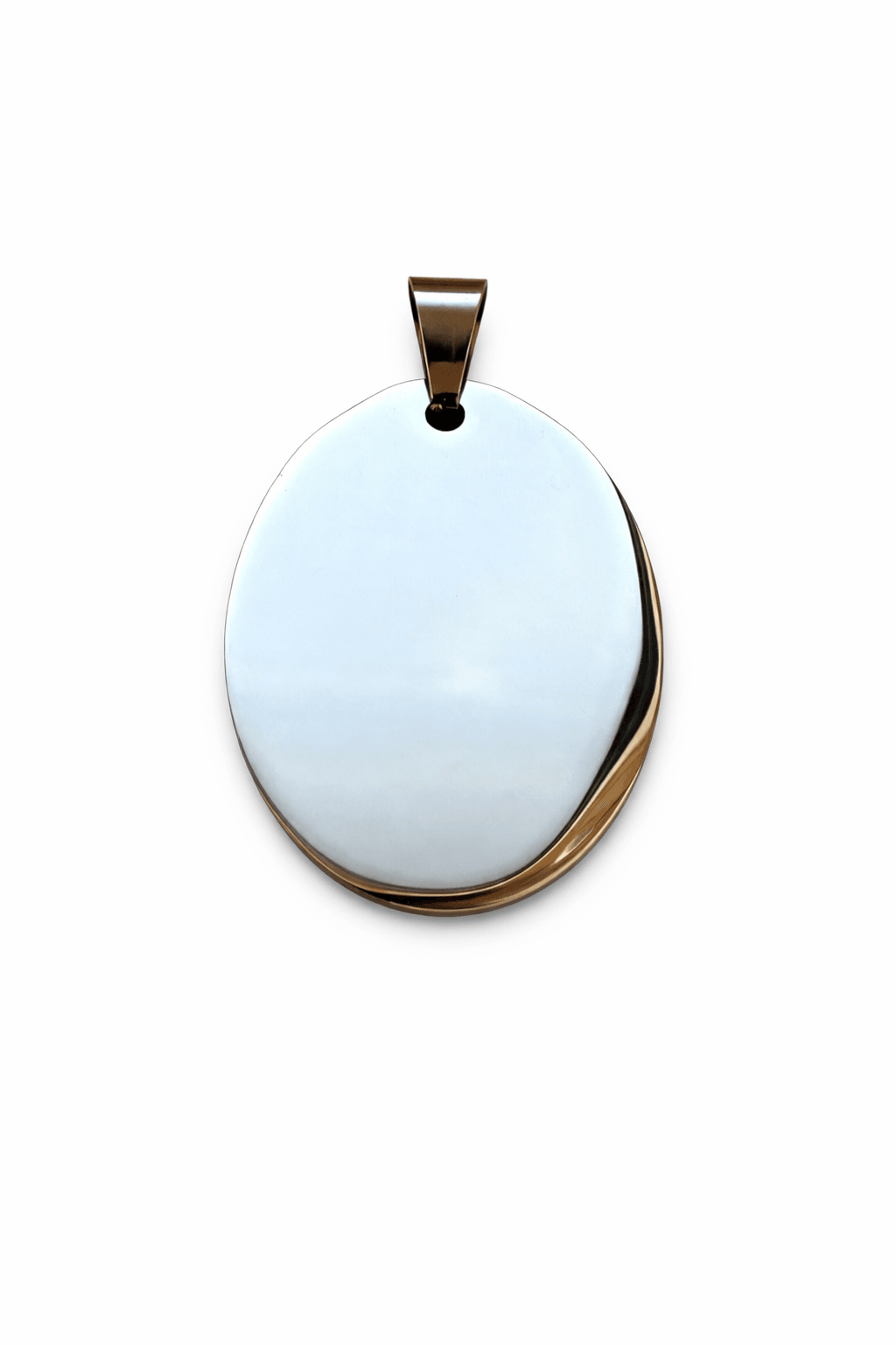 Hundeanhänger Edelstahl Rückseite